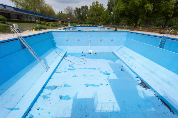 Best Flood restoration services  in , IN