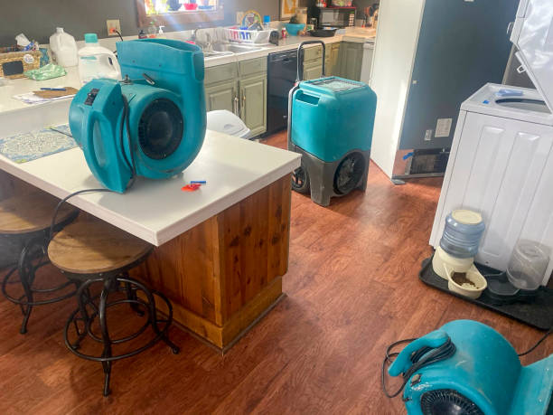 Best Water damage restoration specialists  in , IN