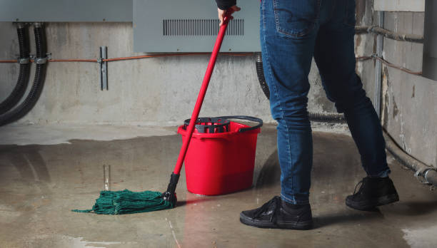 Best Water damage restoration near me  in , IN