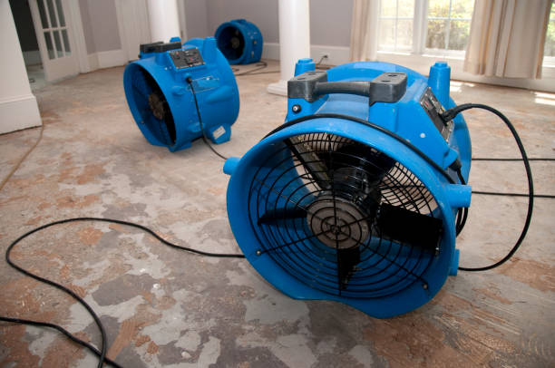 Best Mold removal after water damage  in , IN