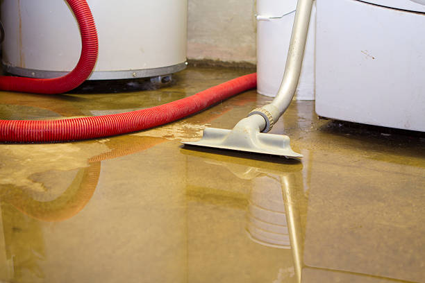 Best 24/7 water damage repair  in , IN