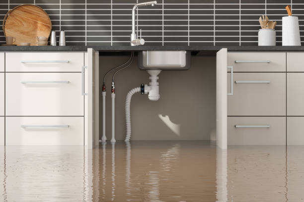 Best Local water damage restoration  in , IN