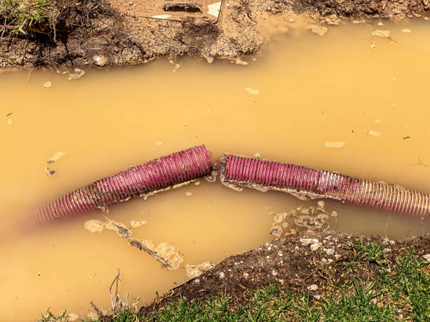 Best Emergency water extraction  in , IN
