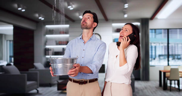 Best Residential water damage restoration  in , IN
